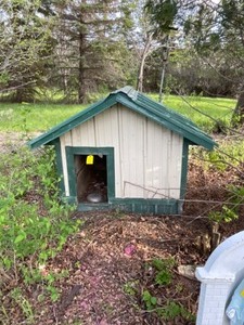 lot 373 image: Dog House with tin roof and sides