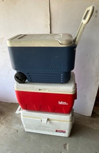 lot 241 image: 3 - Igloo coolers