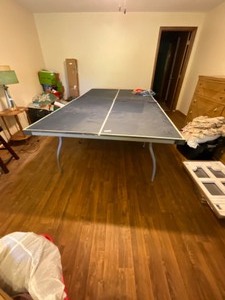 lot 475 image: Folding Pin Pong Table