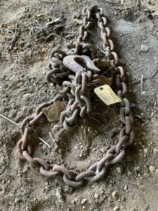 lot 666 image: Heavy Duty Log Chain with 2 Hooks