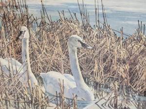 lot 32 image: SIGNED Wonderful Naturalist Fine Art Print - Wayne Meineke - Spring Song