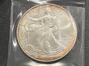 2002 Silver Eagle