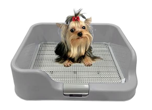 lot 320 image: DogCharge Indoor Dog Potty Tray  with Protection Wall Every Side for No Leak
