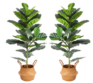 lot 289 image: Lot of 2 Artificial Fiddle Leaf Fig Plants 39 Inch