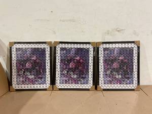 lot 112 image: LOT OF 3 26x22 Picture Frames Wall Mounted