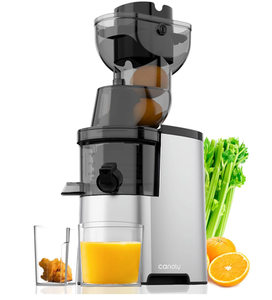 lot 223 image: Canoly Electric Masticating Juicer