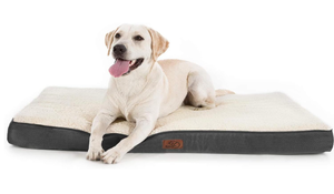 lot 242 image: Bedsure Orthopedic Dog Bed