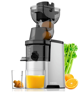 lot 243 image: Canoly Masticating Electric Juicer Machine