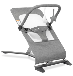 lot 250 image: Baby Delight Alpine Deluxe Portable Bouncer