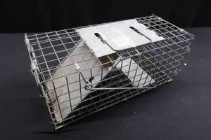 lot 78 image: LIVE TRAP
