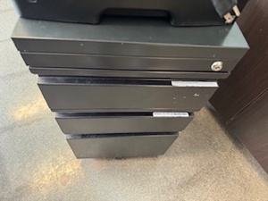 lot 80 image: Dell S283DN Printer and Rolling 3 Drawer File Cabinet