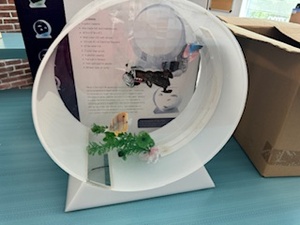 lot 41 image: Fish Bowl, Fish Bowl Supplies and Hamster Wheel