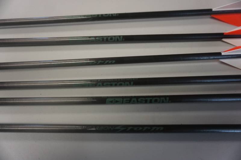 6 - Easton Carbon Storm Arrows