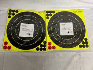 lot 70 image: 40 - 12x12 Bullseye Color Impact Shooting Targets