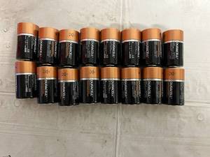 lot 277 image: 16 Duracell D Batteries