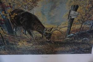 lot 124 image: The Seeker Wild Life Buck Print By Charles H Denault