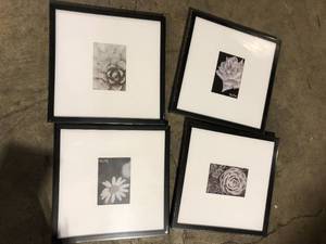 lot 21 image: StyleWell Black Modern Frame with White Matte Gallery Wall Picture Frames (Set of 4)  Customer Returns See Pictures