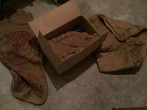 Burlap Sacks