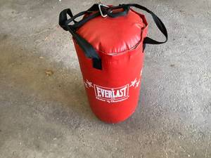 Everlast Punching Bag