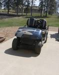 EZ-GO electric golf cart - works great