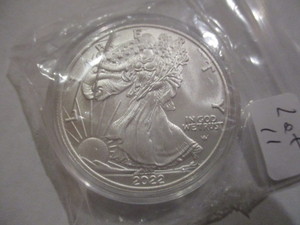 2022-W Silver American Eagle. Gorgeous Coin