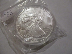 2022-W Silver American Eagle. Beautiful Coin