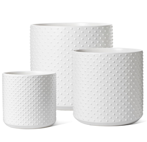 lot 398 image: LE TAUCI 6810  Plant Pots