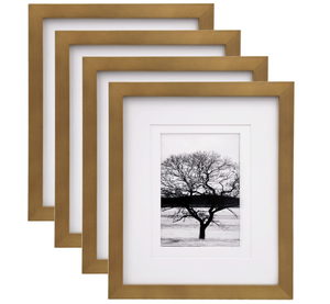 lot 339 image: LOT OF 4 Egofine 8x10 Picture Frames