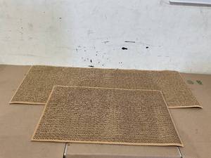 lot 253 image: 2 PCS Tan Rug Set for EntrywayHallway