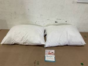 lot 263 image: LOT OF 2 Digital Decor Premium Gold Hotel Pillows for Sleeping