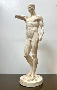 lot 426 image: Large & Impressive Old Vintage Flayed Man Figural Sculpture