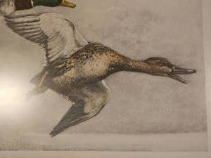 lot 51 image: Leon Danchin (1887-1938) - Ducks in Flight - Pencil Singed Print