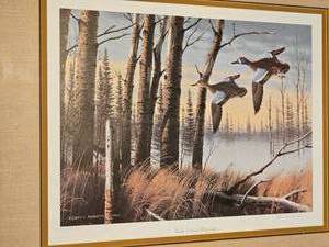 lot 52 image: Northern Country Bluewings