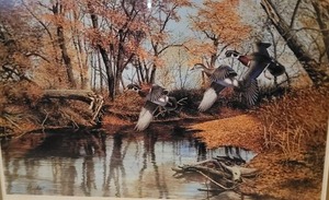 lot 112 image: SIGNED Fine Art Naturalist Print - Richard W. Plasschaert - Rustic Woodies