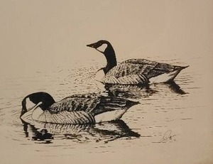 lot 117 image: SIGNED Fine Art Naturalist Print - Gail Raffenberg - Canada Geese