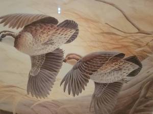 lot 113 image: SIGNED Fine Art Naturalist Print - John Ruthven - Edge Birds