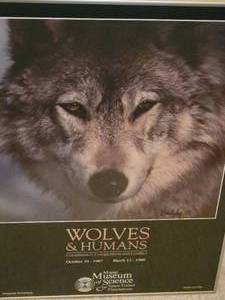 lot 111 image: SIGNED Fine Art Naturalist Poster - Wolves & Humans - Miami Museum of Science