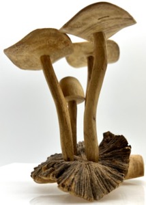 lot 46 image: Hand-carved Wooden Mushroom Garden