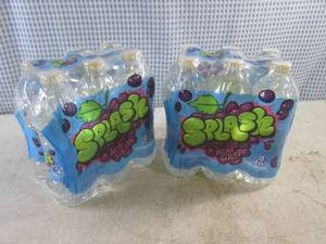 lot 301 image: (B-1) 2 - 6-Packs Splash Blast Acai Grape Water 16.9oz Bottles