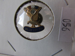 Sterling & Diamond Pin
