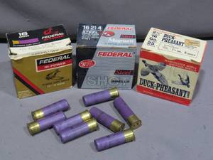 lot 34 image: Mixed  Lot of 16GA Shotgun Shells