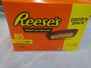 85 ct Snacksize Reeses Peanut Butter Cups