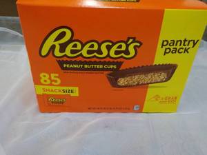 85 ct Snacksize Reeses Peanut Butter Cups