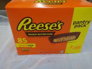 85 ct Snacksize Reeses Peanut Butter Cups