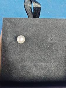 One Pearl Earring