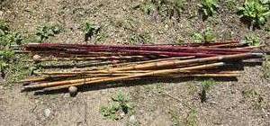 lot 451 image: Cane Fishing Poles