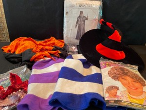 lot 229 image: Variety of Halloween Costumes