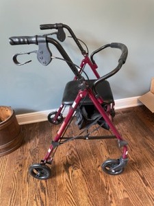 lot 293 image: Walker With Seat