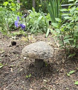 lot 142 image: Granite Mushroom for Your Yard