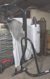 lot 129 image: Everlast Womens Punching Bag Set